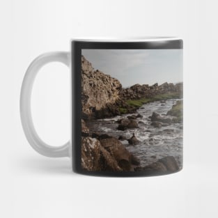 Þingvellir National Park Mug